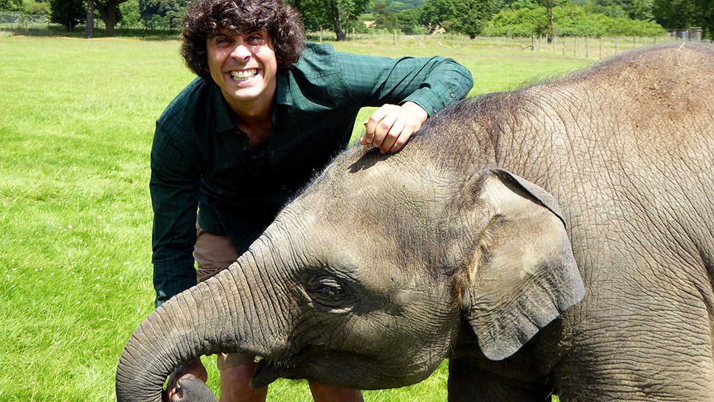 Andy's Baby Animals 图片1