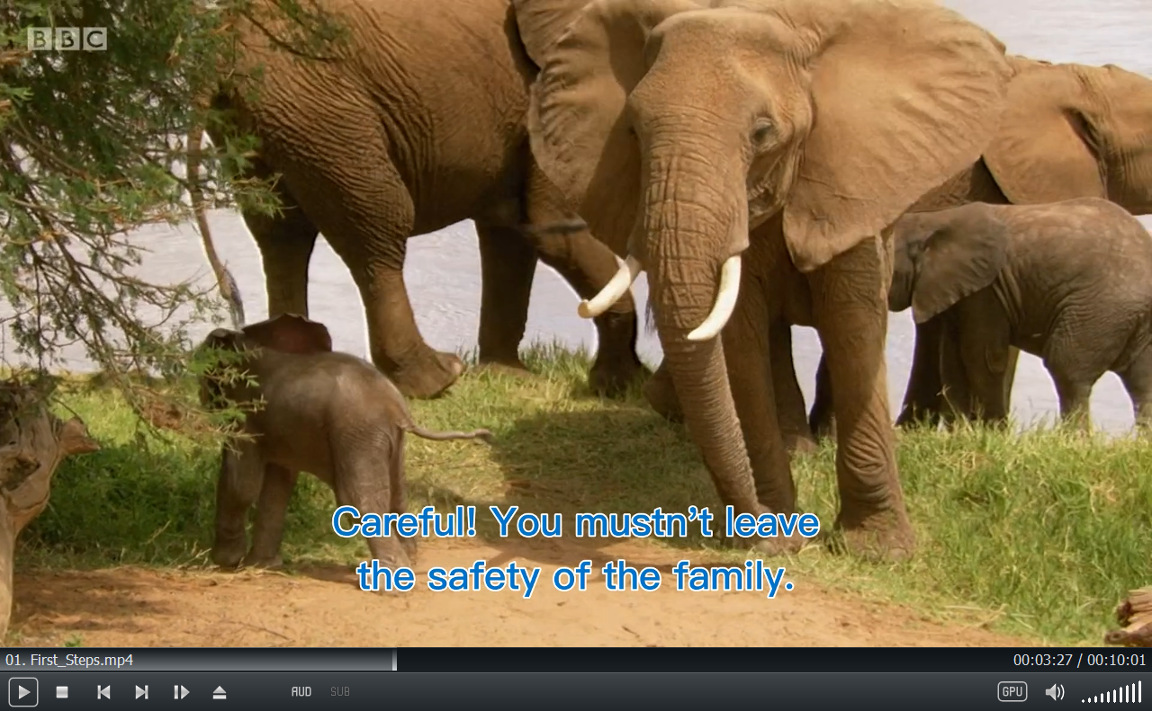 Andy's Baby Animals 图片20 Andy's Baby Animals 图片19