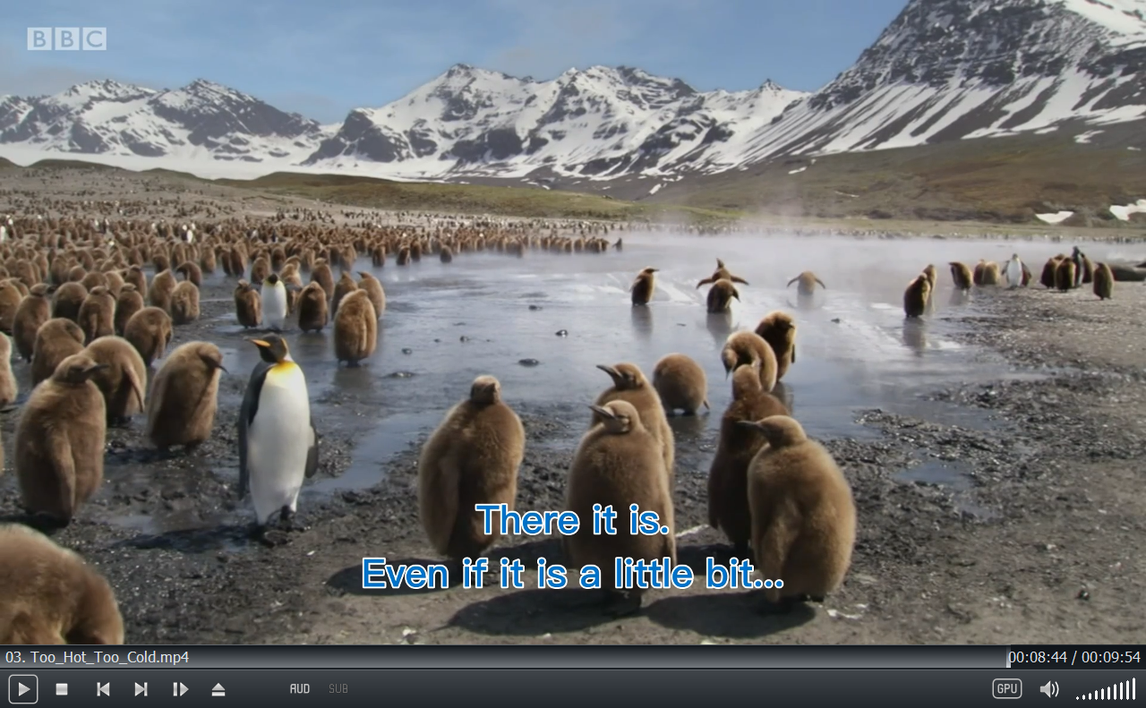 Andy's Baby Animals 图片22 Andy's Baby Animals 图片21
