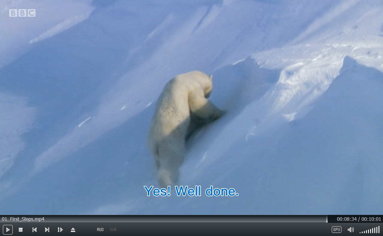 Andy's Baby Animals 图片26 Andy's Baby Animals 图片25