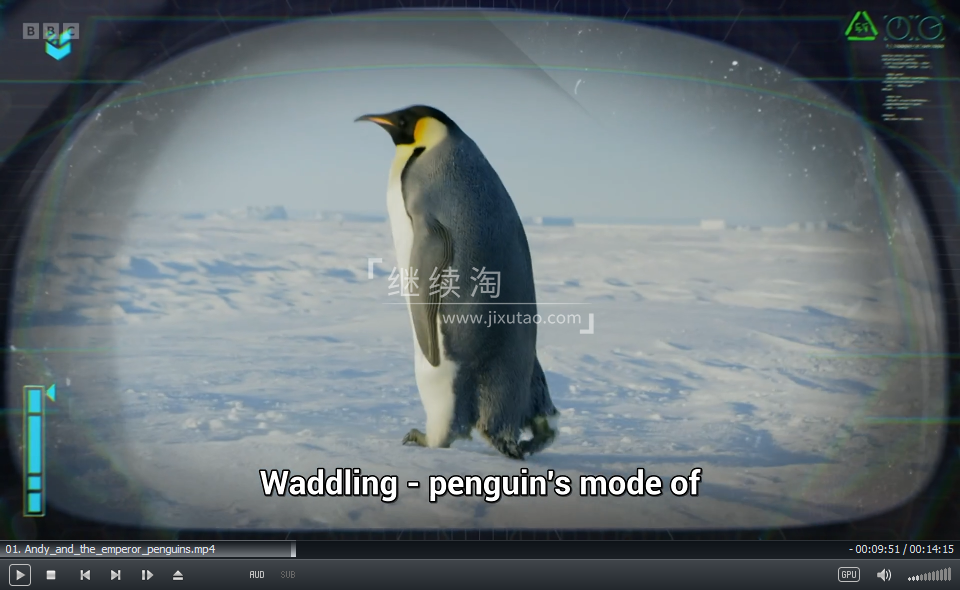 Andy's Global Adventures 安迪 安迪的全球冒险 图片19