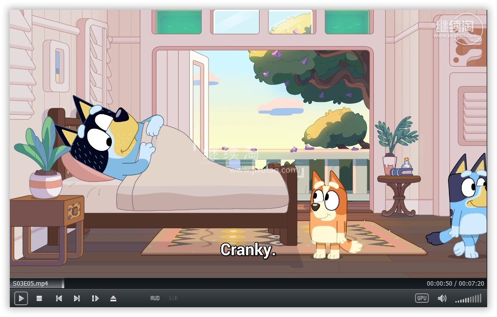 Bluey 布鲁伊 布鲁伊一家 图片11