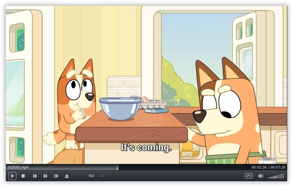 Bluey 布鲁伊 布鲁伊一家 图片13