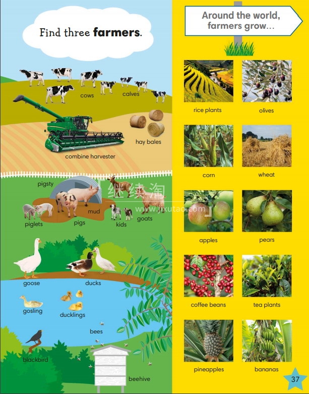 DK DK 1000 useful words 图片29