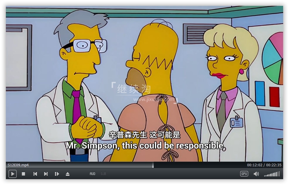 The Simpsons 辛普森一家 图片13