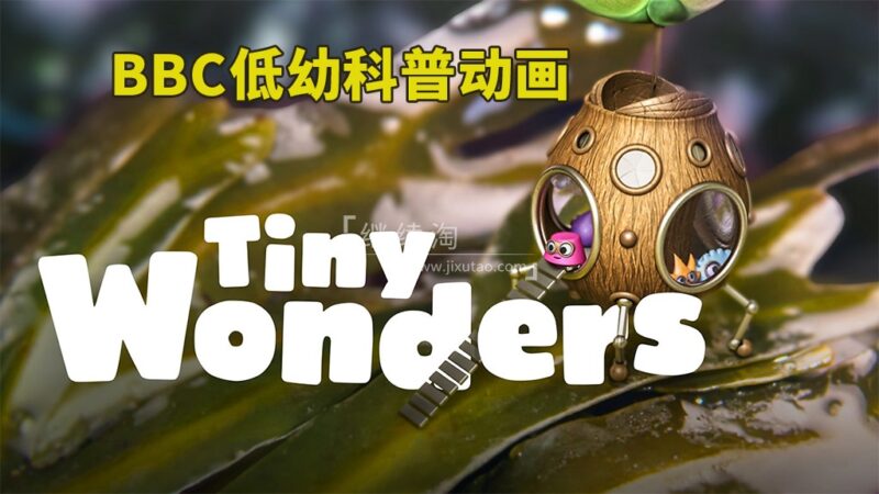 BBC英文科普动画片《Tiny Wonders 小奇迹》全五季共51集,教你学会观察、探索自然界小奇观!1080P高清视频带英文字幕,百度网盘下载! | 继续淘