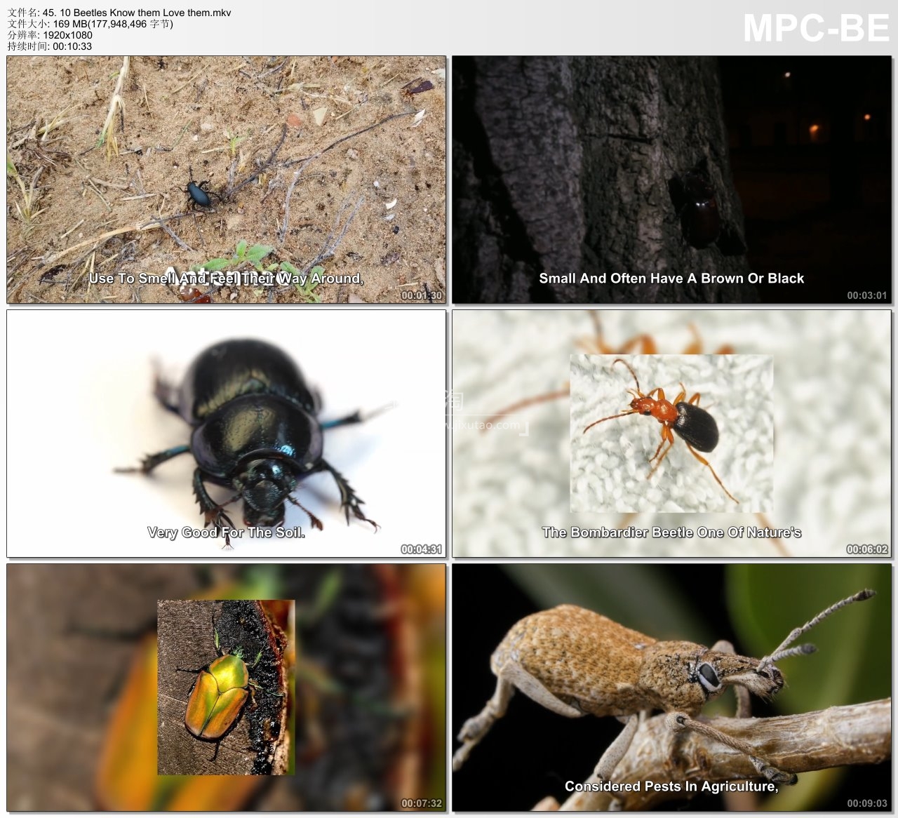 Socratica Kids 图片16 Socratica Kids 图片15