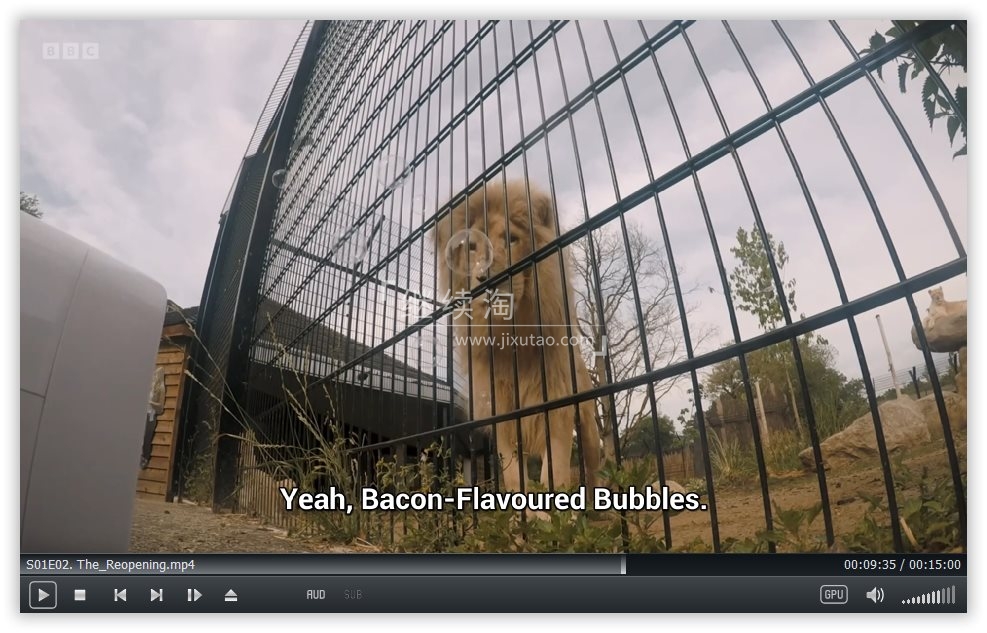 One Zoo Three 三兄弟动物园 图片7