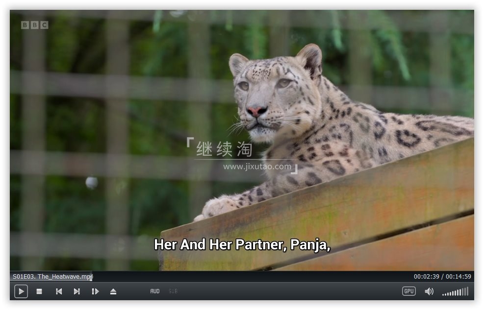 One Zoo Three 三兄弟动物园 图片9