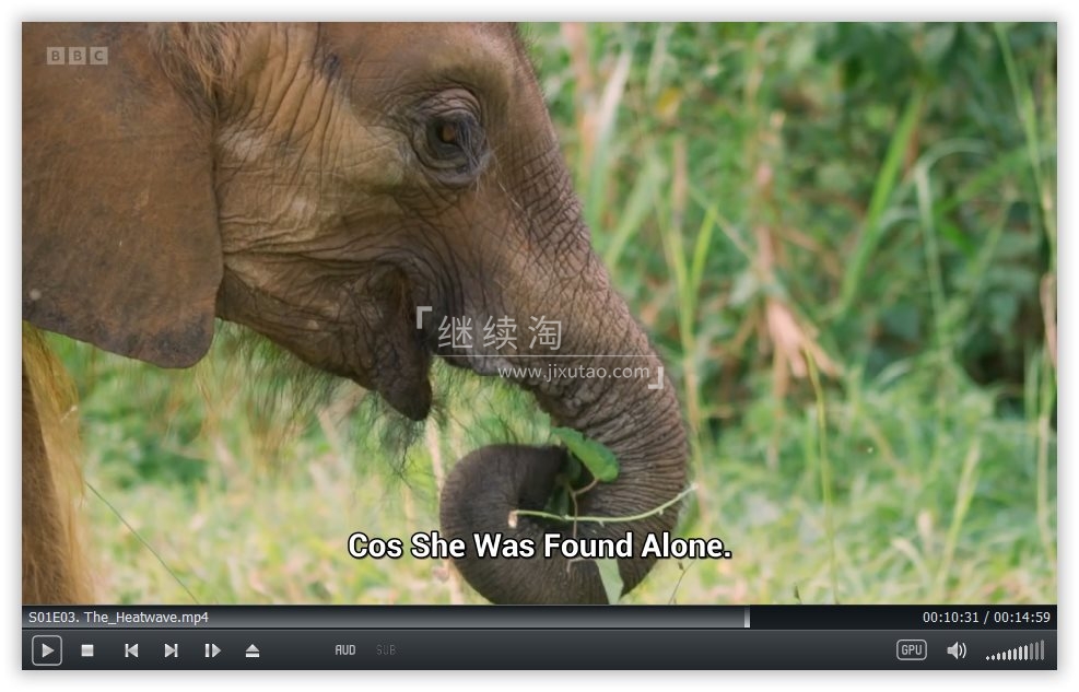 One Zoo Three 三兄弟动物园 图片11