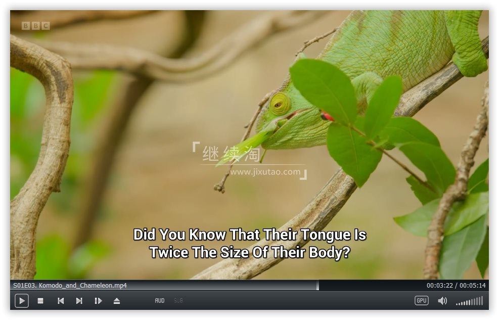 Go Wild 图片8 Go Wild 图片7