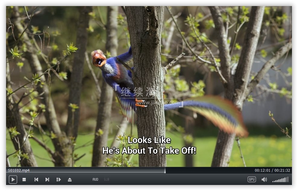 Dino Dana 恐龙达娜 图片6 Dino Dana 恐龙达娜 图片5