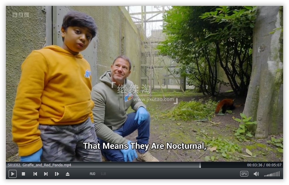 Go Wild 图片6 Go Wild 图片5