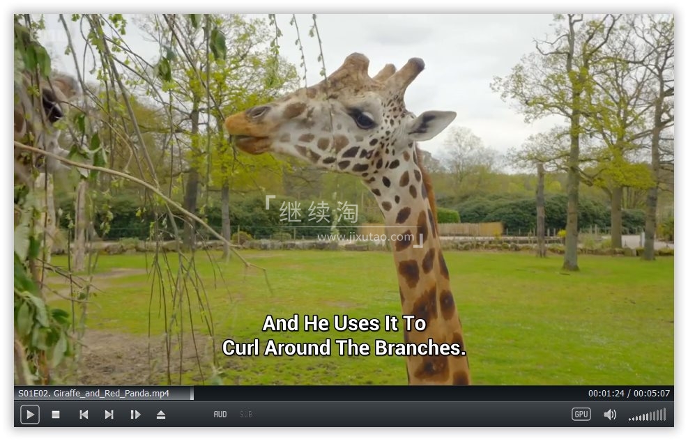 Go Wild 图片4 Go Wild 图片3