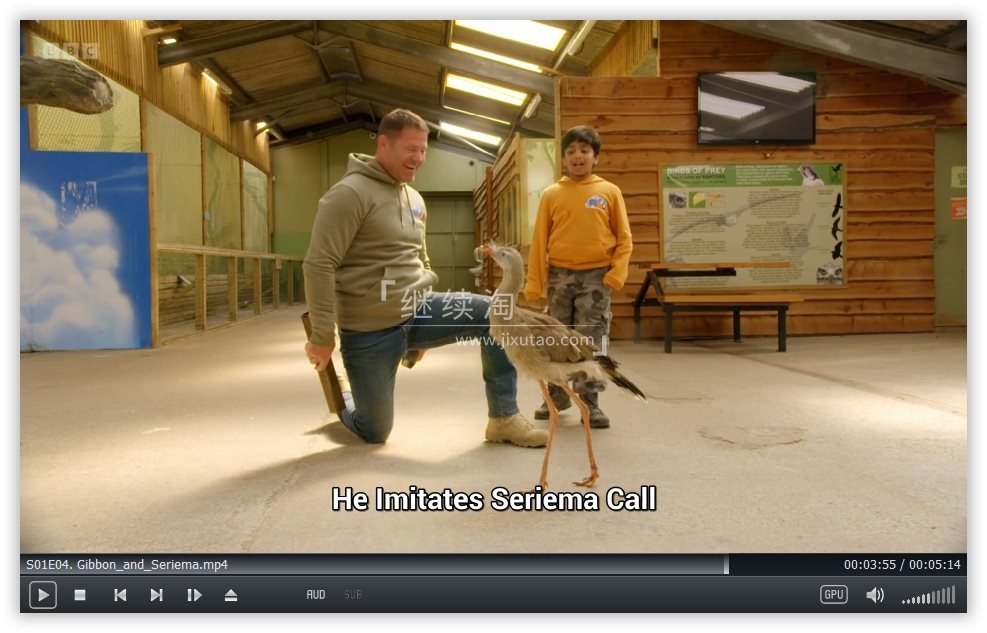 Go Wild 图片12 Go Wild 图片11