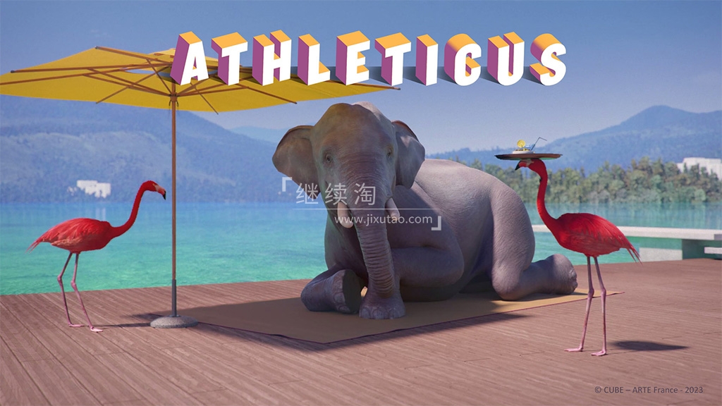 Athleticus 运动趣事 图片1