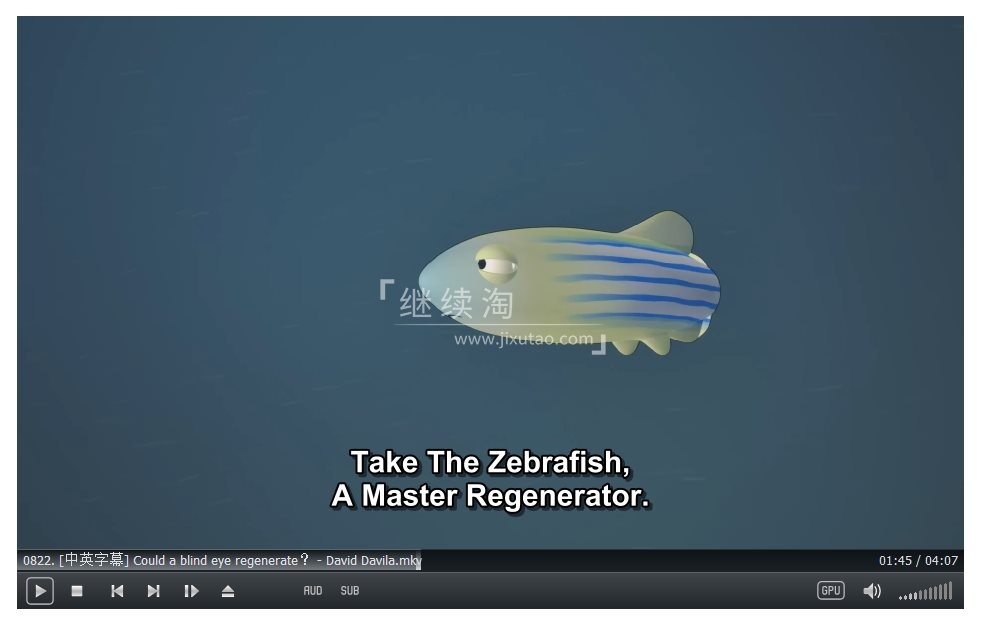 TED-Ed 图片9
