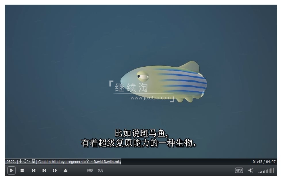 TED-Ed 图片7