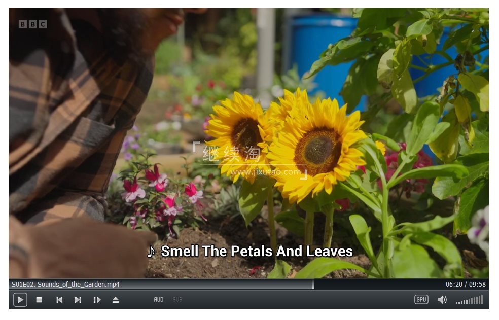 I Can Grow It 图片11