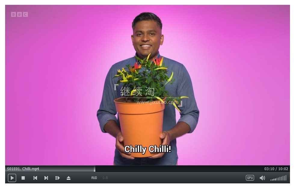 Whats in Your Plant Pot 图片5