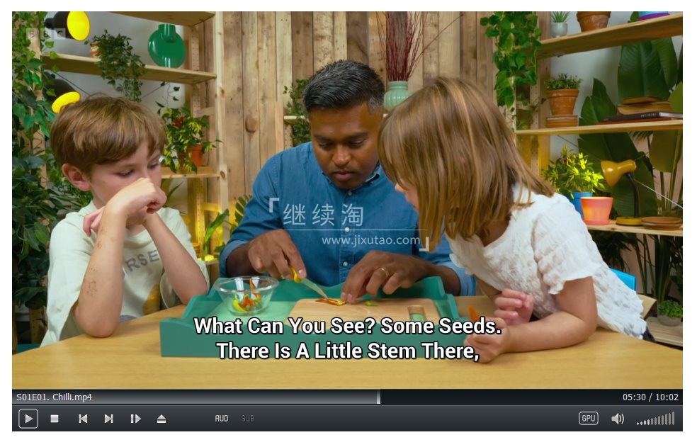 Whats in Your Plant Pot 图片7